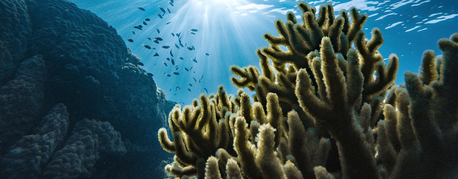 恒峰g22中水回用、陶瓷膜、石墨烯膜、黑金膜公众号，，，，，接待您扫码关注！