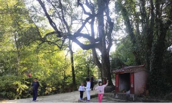 恒峰g22 - 官方网站 -- 天天有惊喜