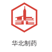 恒峰g22相助同伴：东北制药